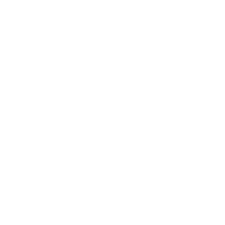 Waka Kotahi New Zealand Transport Agency Logo